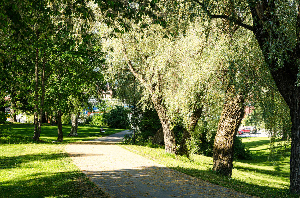 Park vid Höglunda
